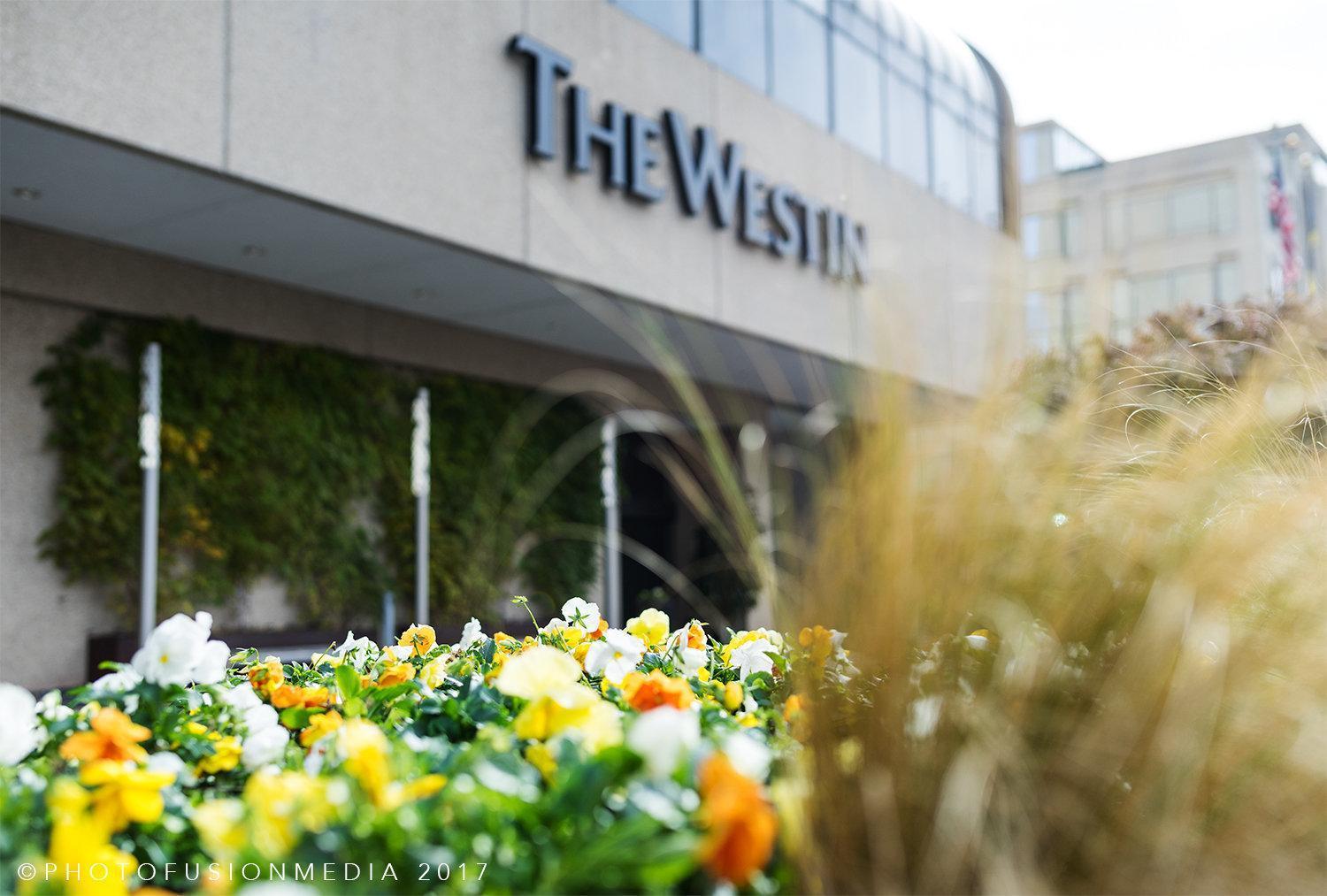 The Westin Crystal City Reagan National Airport Arlington Dış mekan fotoğraf